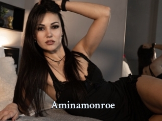 Aminamonroe