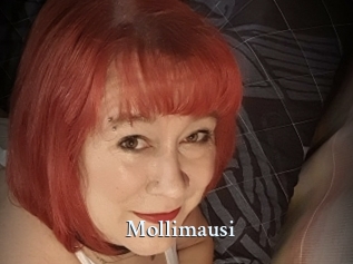 Mollimausi