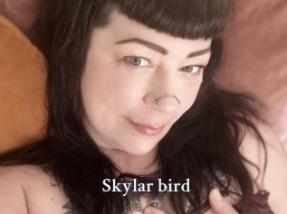 Skylar_bird