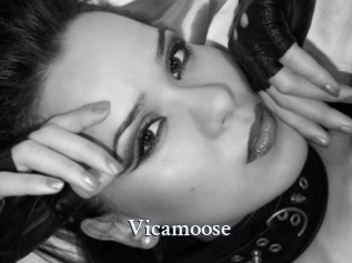 Vicamoose